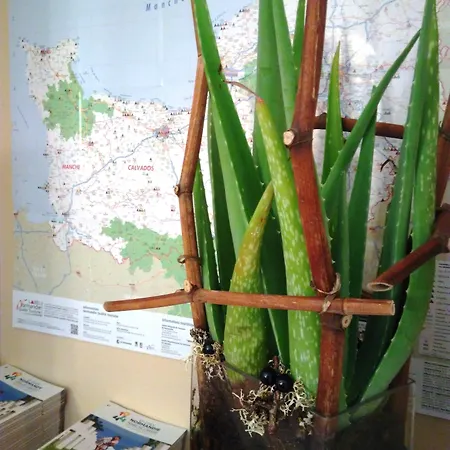 Des Quatrans 3* Caen