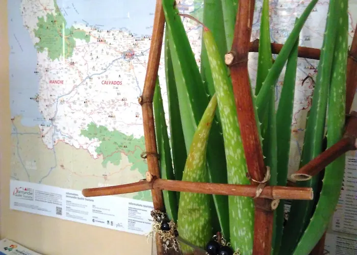 Des Quatrans 3* Caen